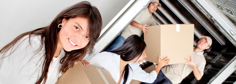 Professional Removalists Whitemore